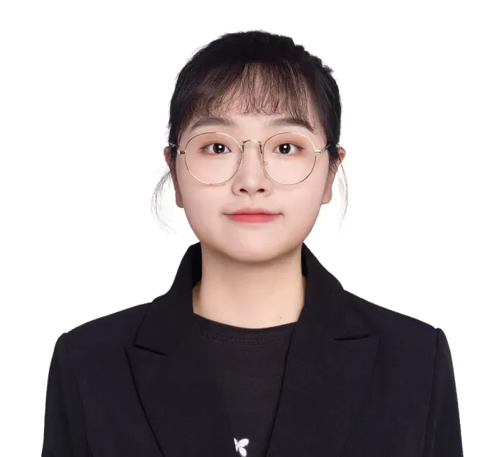 英文alt333