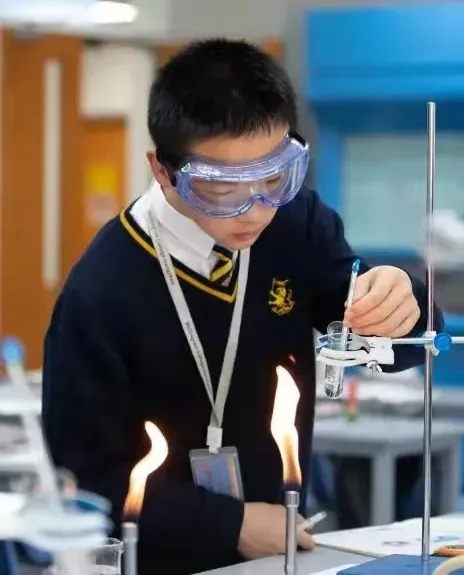 这是网站层级的中文ALT描述